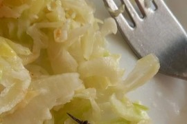Studenti pronašli žohara u salati