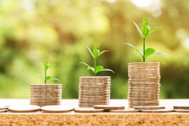 Rusija najveći investitor u BiH