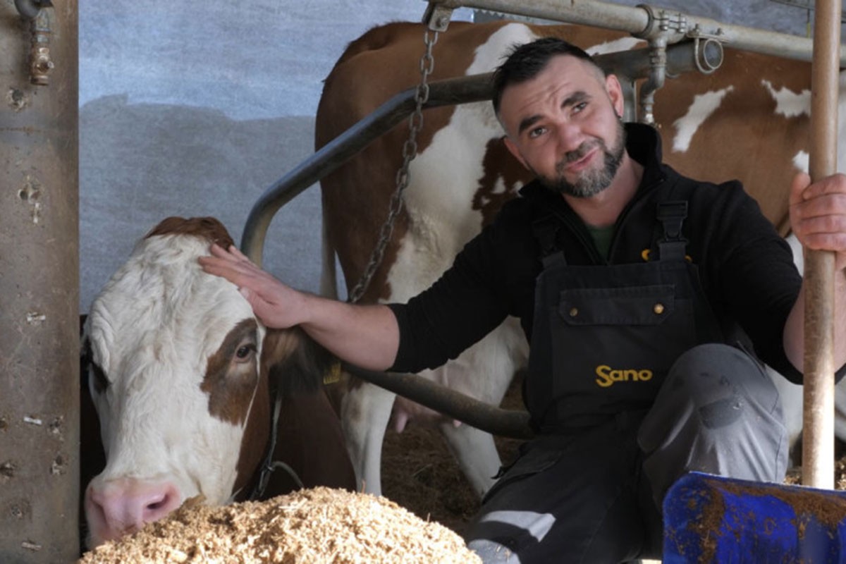 Mati bolje s kravama u Posavini nego u Austriji