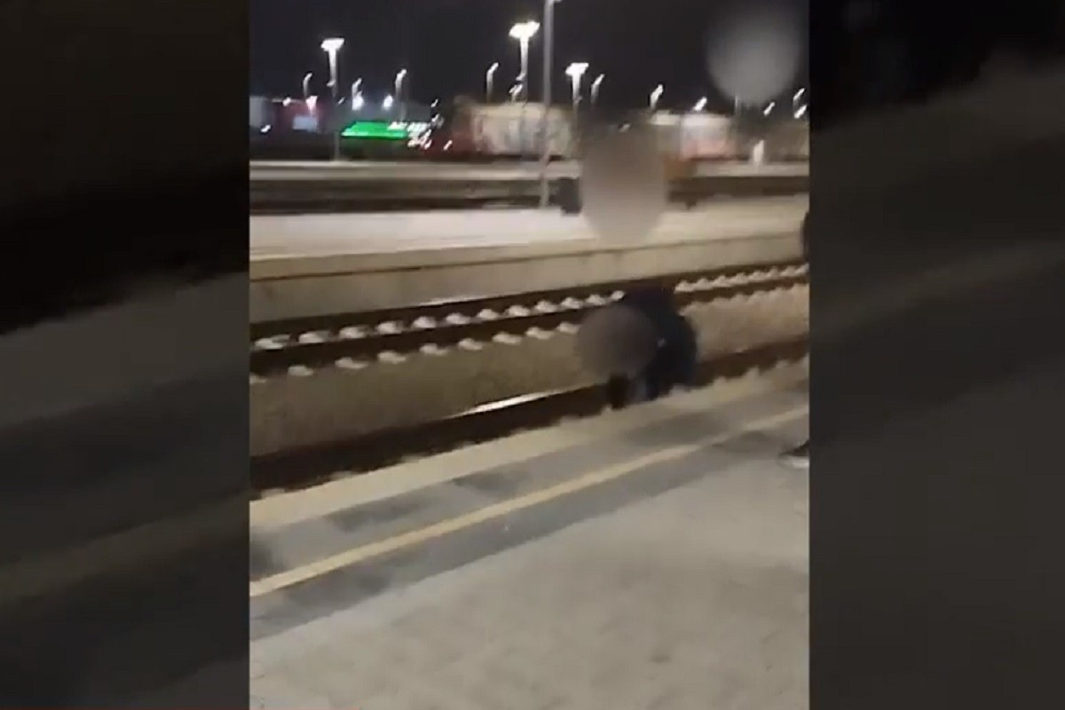 Opasna "igra" tinejdžera na željezničkoj stanici u Zemunu (VIDEO)