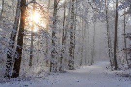Poslije proljetnih temperatura, stiže promjena vremena