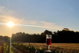 Napustio Sloveniju i zasadio vinograd: Kad se "zasuču rukavi" u RS se ...