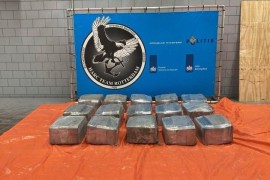 Hapšenje vozača iz BiH bio signal za policiju, pronašli 600 ...