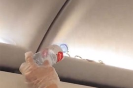 Zmija otkrivena u kabini aviona tokom leta (VIDEO)