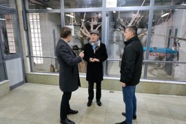 Stvoreni uslovi za bogatije parkove i nove sadnice