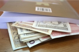 Iz audija ukradene putne isprave i 1.500 KM