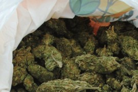 Zaplijenjeno više od 280 kilograma marihuane i kreme za lice