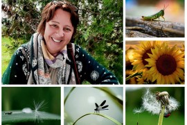 Profesorica Tatjana Milijević: Djeca su uvijek ista, željna ljubavi i ...