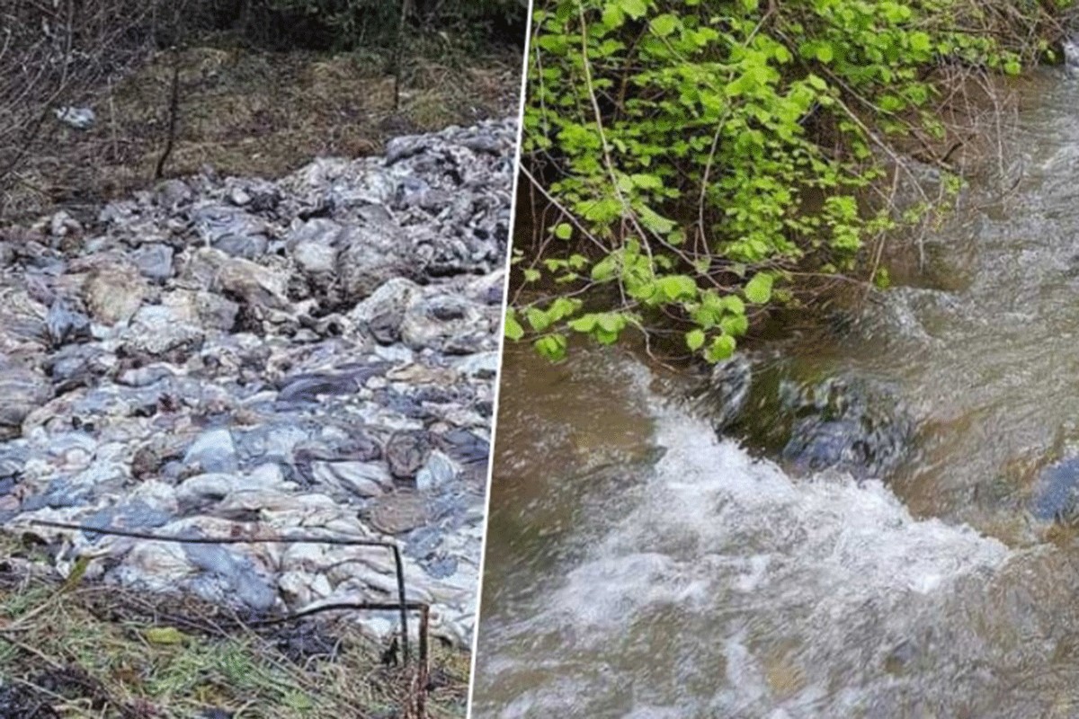 Lovci istresli animalni otpad pored rijeke na kojoj se napaja stoka, piju je i ljudi
