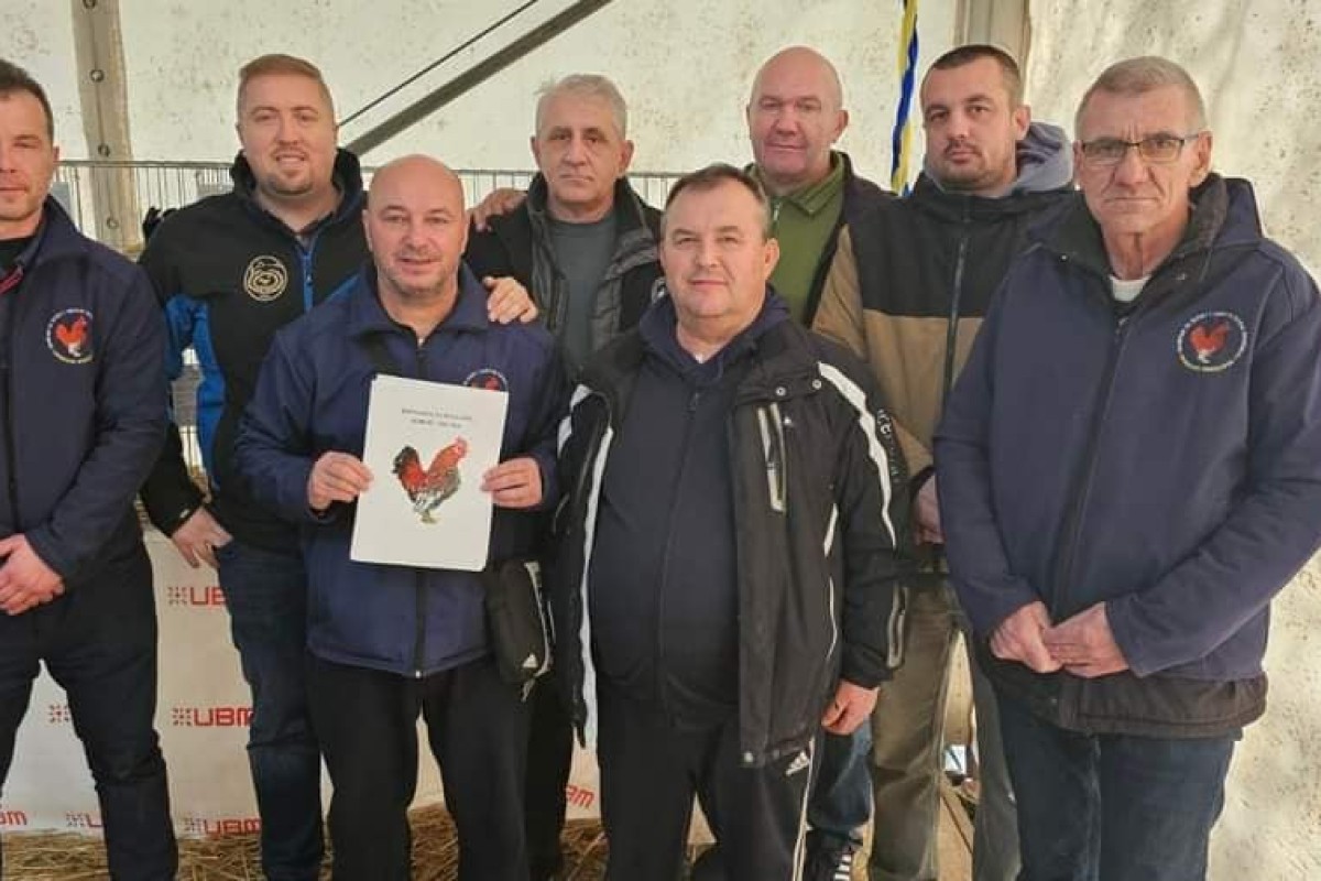Priznanje patuljastoj koki džudži
