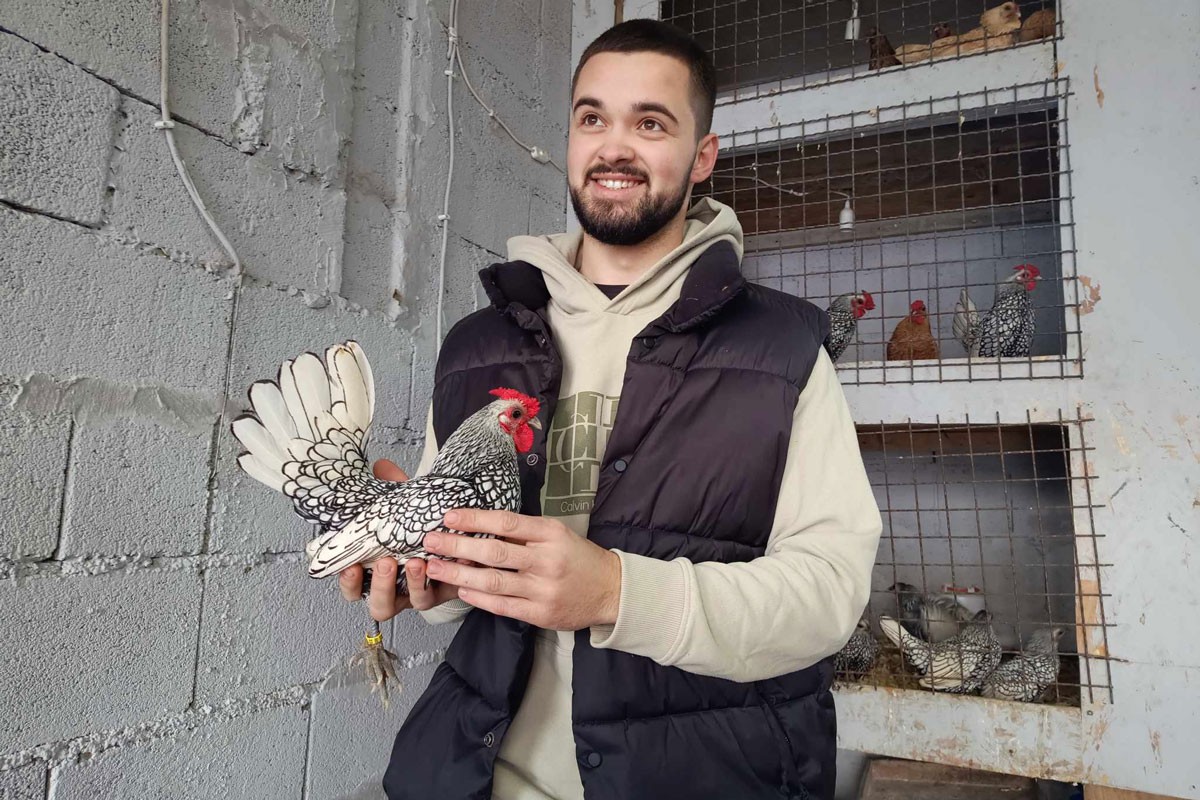 Amir Kazić uzgaja pernate šampione (FOTO)