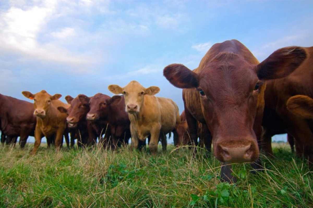 Francuski farmeri nastavljaju proteste dok vlada ne ispuni njihove zahtjeve