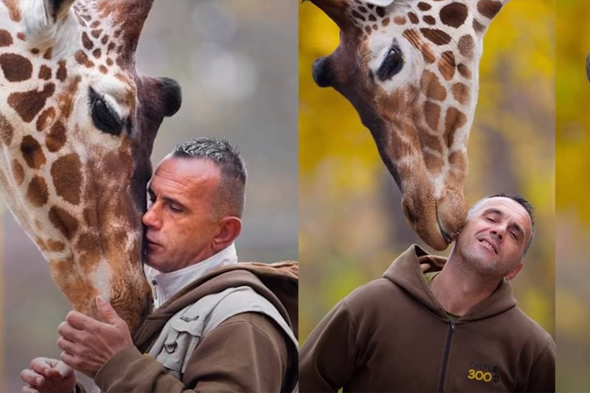 Čuvar i posljednja žirafa u skopskom zoo vrtu preminuli istog dana (VIDEO)