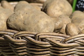 Najskuplji krompir na svijetu košta 500 evra po kilogramu