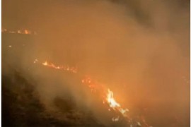 Požar na izletištu Smetovi lokalizovan