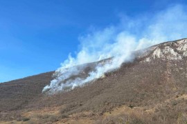 Šumski požari počeli prije vremena, materijalna šteta velika