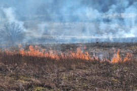 Građani već počeli da pale njive, vatrogascima pune ruke posla