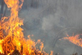 Banjalučki vatrogasci gasili požar u Ljubačevu