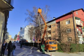 Uklonjena suva i oštećena stabla u Banjaluci