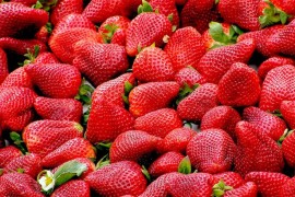 Zabranjen uvoz jagoda iz Albanije u Srpsku