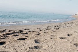 Djevojčica (7) poginula na plaži nakon što je upala u rupu koju je ...