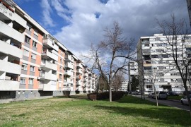 Lisice komšije stanara banjalučkog naselja