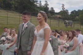 Umjesto sudbonosnog "da" začulo se nešto drugo: Mladenci i gosti ...
