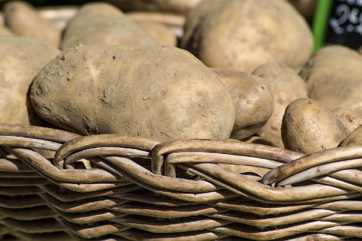 Najskuplji krompir na svijetu košta 500 evra po kilogramu