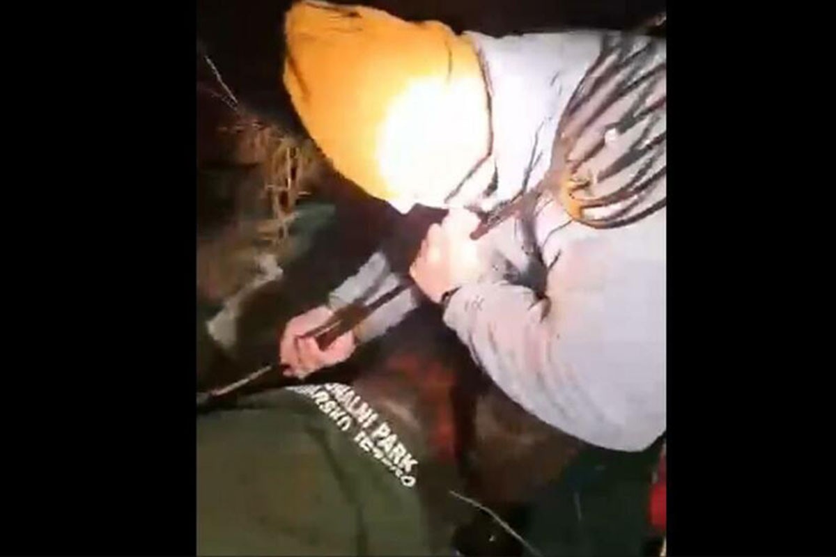 Drama na Skadarskom jezeru: Krivolovci napali čuvare, pomogao im monah (VIDEO)