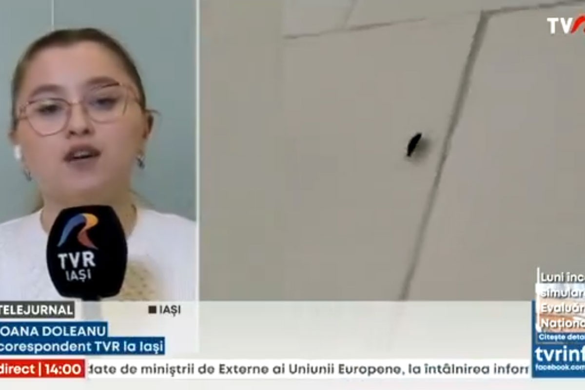 Skandal u bolnici u kojoj je umrla mlada trudnica: Svuda bubašvabe (VIDEO)