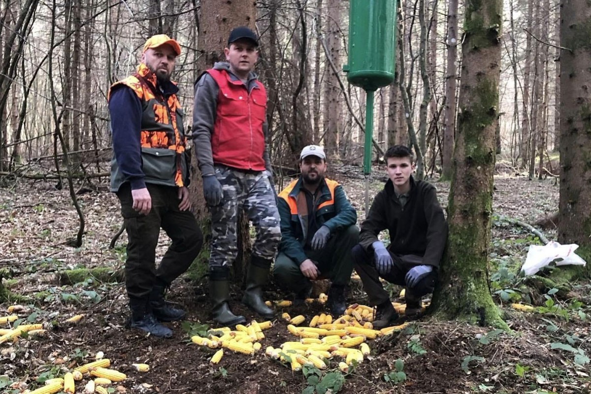 Lovci prehranjuju divljač i prave hajku na opasnog predatora