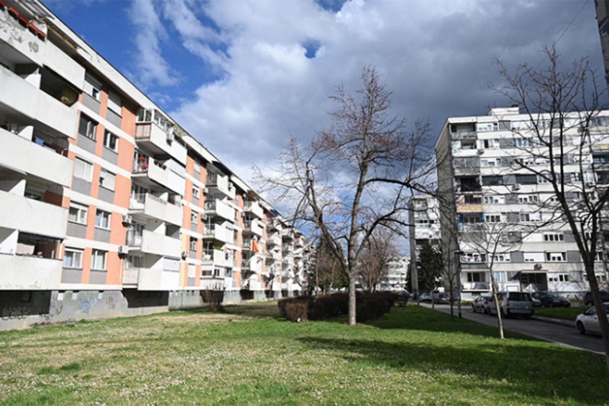 Lisice komšije stanara banjalučkog naselja