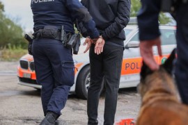 Maloljetnička banda hara švajcarskim gradom, uhapšeni dječaci iz ...