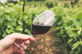 Osam domaćih vinarija izlaže na sajmu vina u Diseldorfu