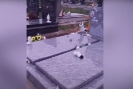Vandalizam na groblju počinila djeca (VIDEO)