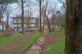 Radnici u parku iskopali kosti stare više od sto godina