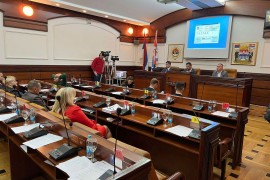 Ninković nazvao odbornike papagajima, uzvratila mu Smiljana Babić ...