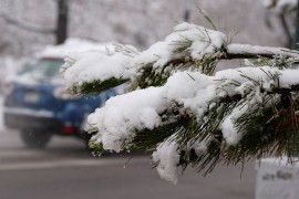Ekstremna zima u Mongoliji: Uginulo 4,7 miliona životinja