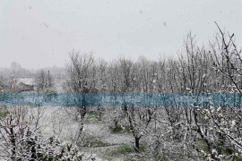 Godišnja doba se smijenila za manje od 24 časa, temperatura pala za ...