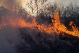 Vatrogasci cijelu noć gasili požar
