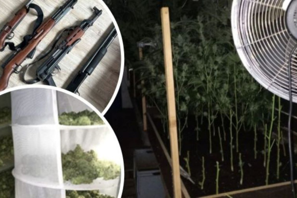 Državljanin BiH uhapšen na plantaži kanabisa