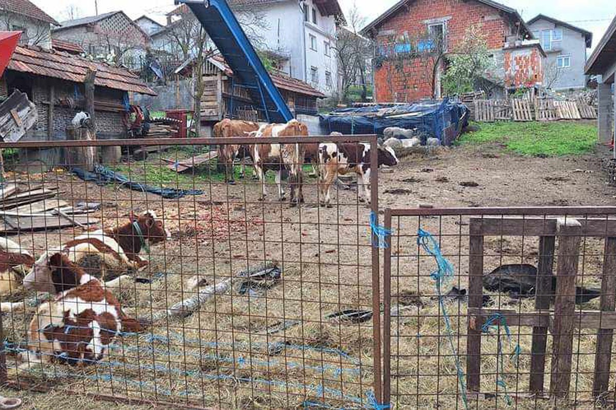 Velika nevolja zadesila poljoprivrednika Eledina Žerića, sve se desilo iznenada