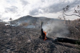 Mještani u pola noći spasavali šumu, plamen prijetio da spali i kuće