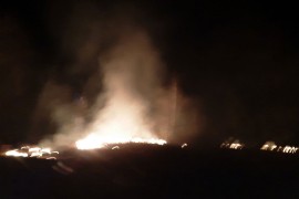 Požar progutao tek zasađene sadnice četinara (VIDEO)