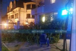 Vjetar oborio dio stabla na vozila u Banjaluci (VIDEO)