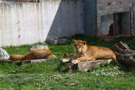 KJKP Park dobio izvinjenje zbog nanesene štete