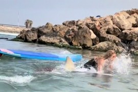 Izgubila ravnotežu i pala na ajkulu, ko se više uplašio (VIDEO)