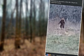 Čovjek iz sela u BiH sprijateljio se s medvjedom: Ajde ruča moj medo ...