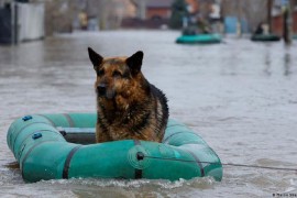 Vodostaj Urala blizu 12 metara (VIDEO)