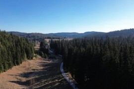 Više od sedam miliona KM za projekte u oblasti šumarstva